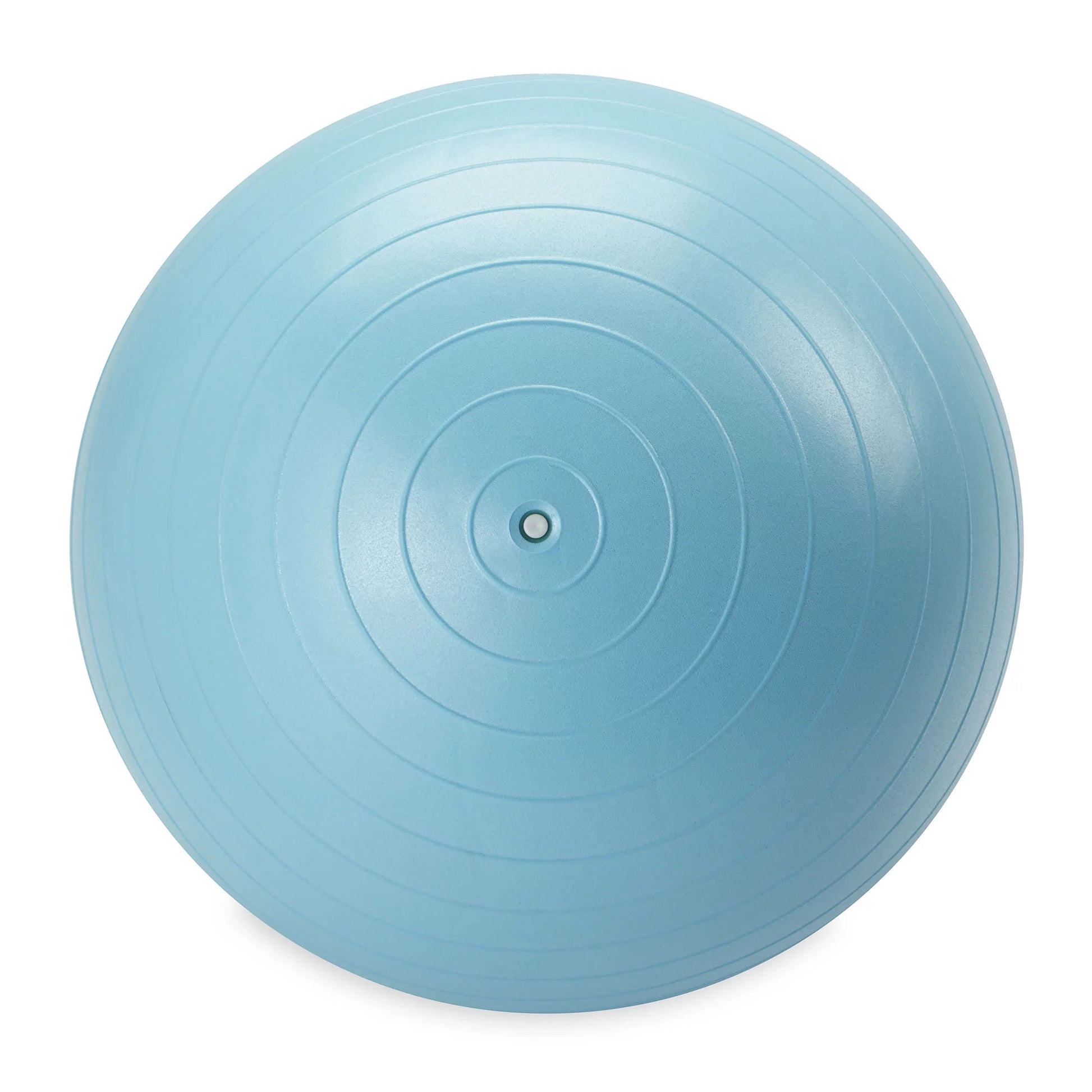 Reebok 55Cm Small Weighted Stability Ball, Pump Included