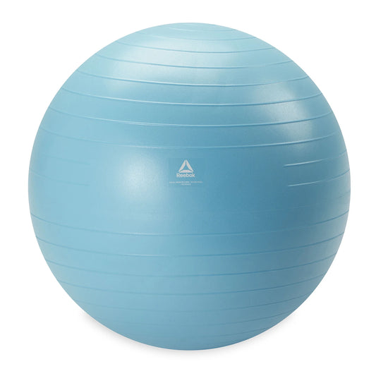 Reebok 55Cm Small Weighted Stability Ball, Pump Included