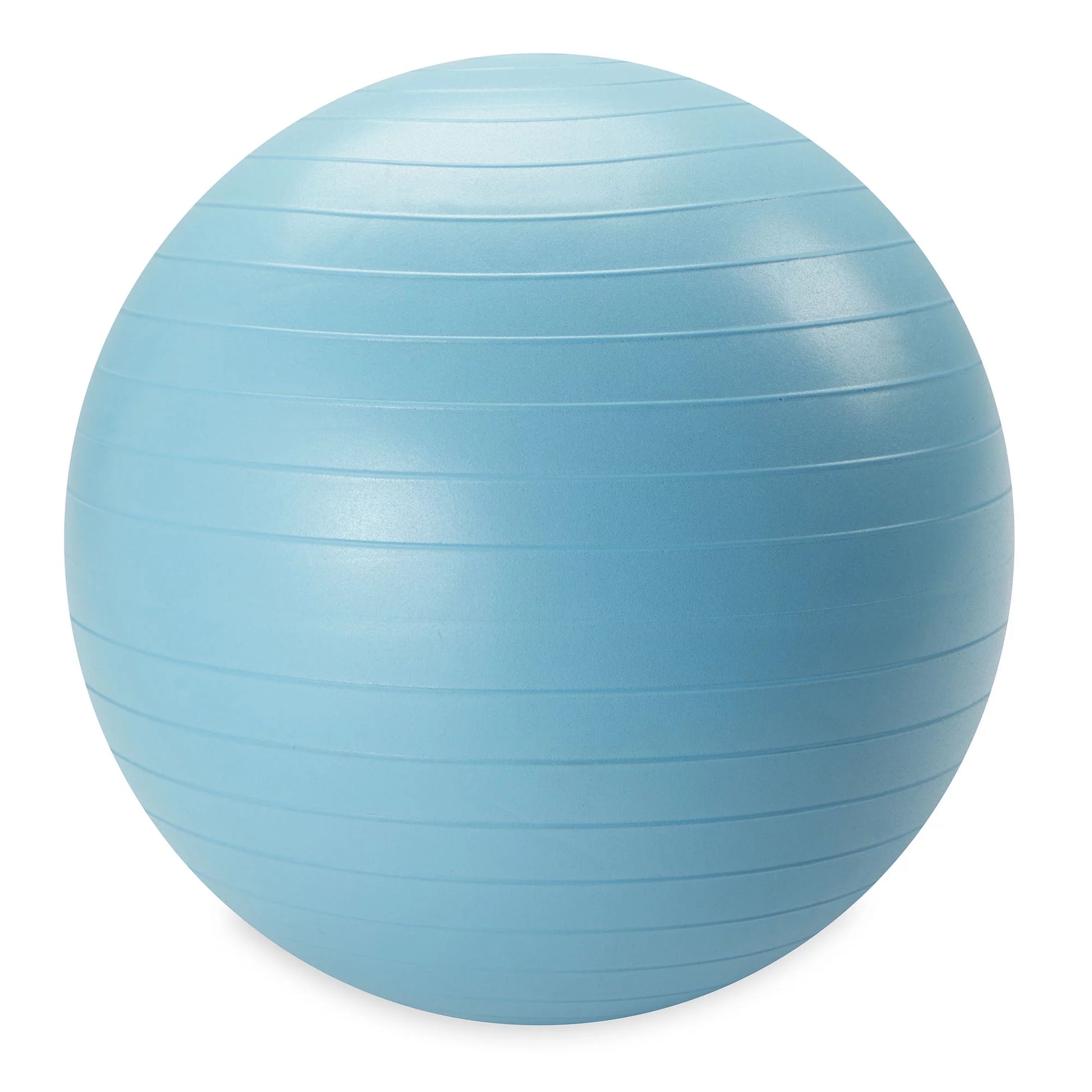 Reebok 55Cm Small Weighted Stability Ball, Pump Included
